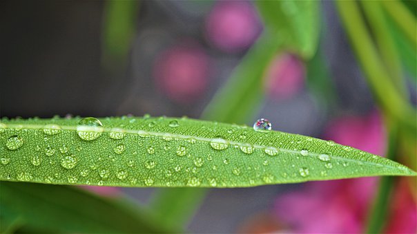 数字能量学手机号码如何预测吉凶？